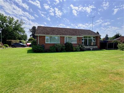 Picture 20